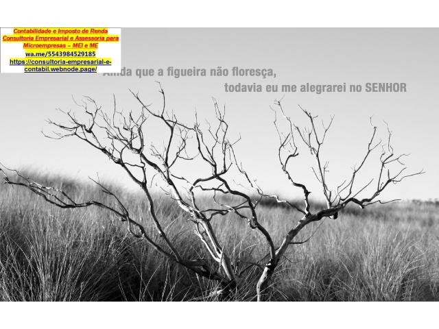 Comprovante de Renda: Entenda o que é e quais são aceitos