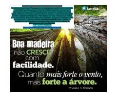 Serviços Gerais de Consultoria, Contabilidade e Imposto de Renda, Tributária/Fiscal, Depto. Pessoal