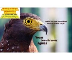 Serviços Gerais de Consultoria, Contabilidade e Imposto de Renda, Tributária/Fiscal, Depto. Pessoal