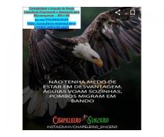 Dedetizadora Londrina Particular ( Insetos e mata/matos) residências Londrina