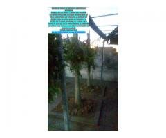 METALON- VENDE-SE PEÇAS DE PARTICULAR LONDRINA Proximo tiro de guerra – jardim san Fernando