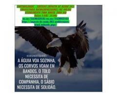 Assessoria Trabalhista e Tributárias Fiscal...