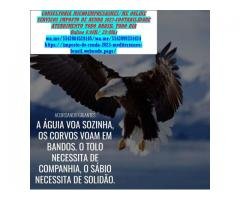 Assessoria Trabalhista e Tributárias Fiscal...