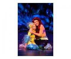 PEQUENA SEREIA 11948594445 PRINCESA ARIEL ANIMAÇÃO