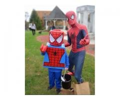 Homem aranha animação de festas 11948594445