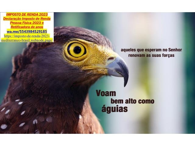 Escritório de Assessoria e Consultoria Contabilidade e Tributária