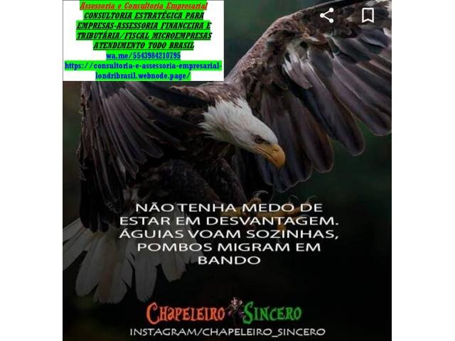 Consultoria Financeira–Consultoria Empresarial–Gestão Econômica