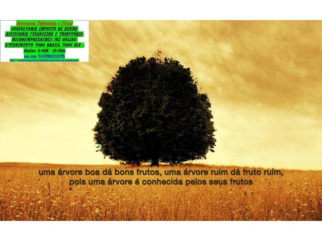 Como fazer Marketing de Conteúdo digital?°