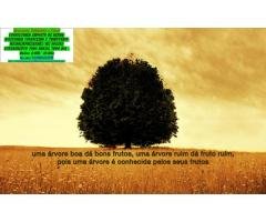 Como fazer Marketing de Conteúdo digital?°