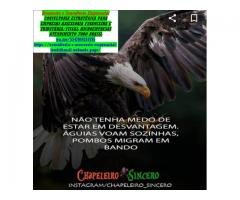 Holerites/Rpa – Documentos para comprovar renda –  Brasil