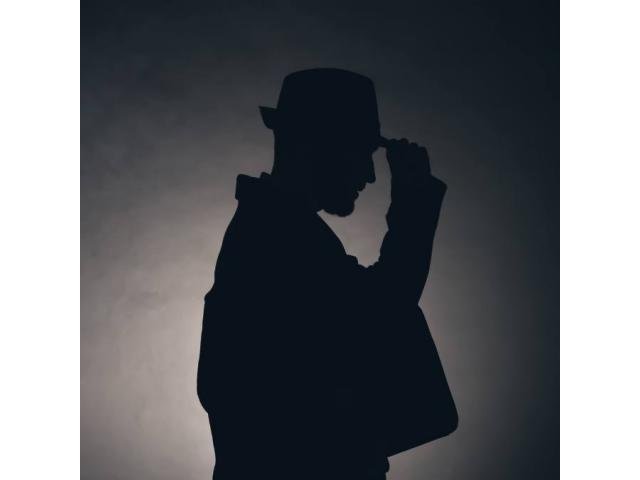 INVESTIGADOR PARTICULAR