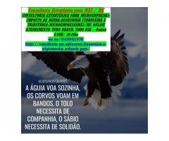 Consultas Online de Assessoria MEI, Contabilidade, Imposto de Renda