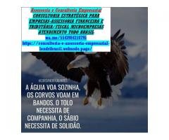 Consultoria Financeira para Microempresas