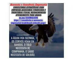 Declaração de Faturamento anual - Assessoria/Consultoria MEI