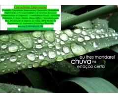 Livro Caixa Rural, Livro Caixa Pessoa Física 2025