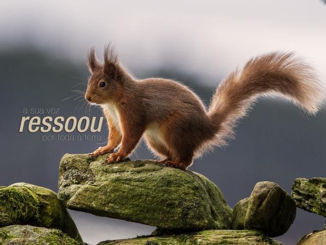 Contador para Microempreendedor - MEI - Salvador