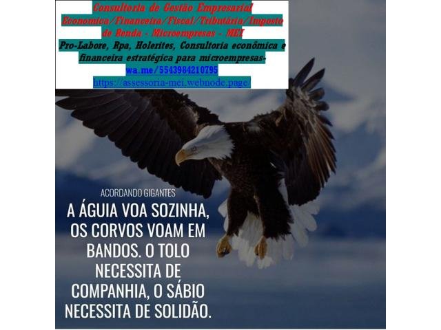 Consultoria Empreendedorismo MEI X Profissional Liberal São Paulo