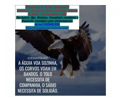 Consultoria Empreendedorismo MEI X Profissional Liberal São Paulo