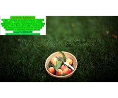 Consultoria Financeira e Contábil Santa Catarina