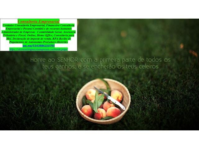 Portal Santa Catarina, Propaganda, Marketing e Publicidade Digital