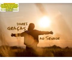 Programa Declaração Imposto de Renda 2026  Av Celso Garcia Cid