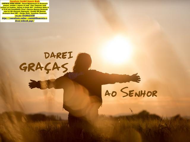 Consultoria Financeira e Contábil  São Paulo WATSAPP 43984210795