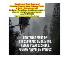 Declaração Imposto de Renda Pessoa Física 2026 Av Higienopolis