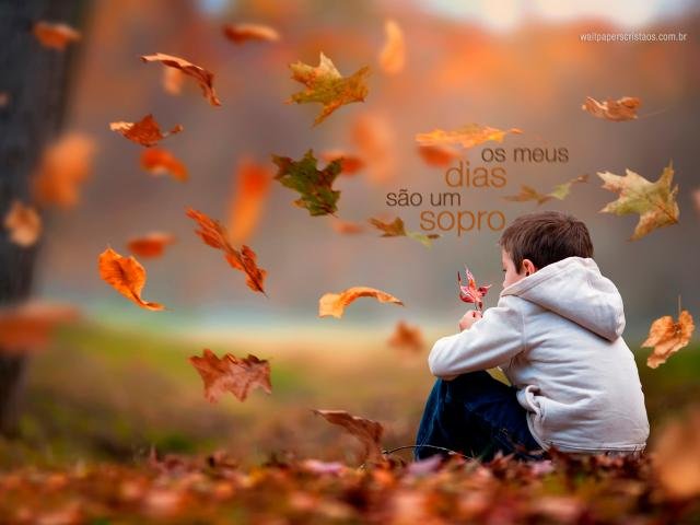 SÃO JOSÉ PINHAIS ESCRITÓRIO CONTABILIDADE IMPOSTO RENDA