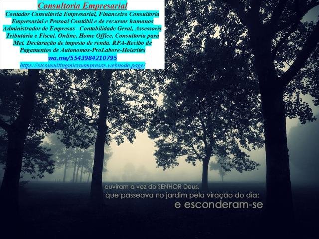 ANTONINA ESCRITÓRIO CONTABILIDADE E IMPOSTO RENDA