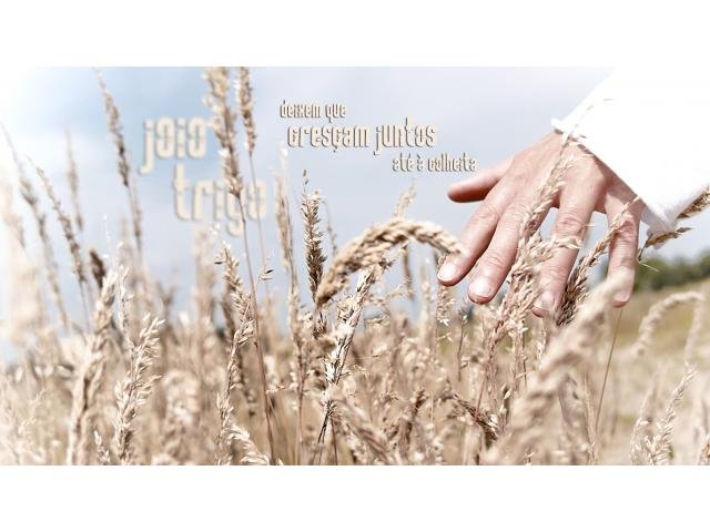 Av Europa Contador para Fazer Declaração do Imposto de renda