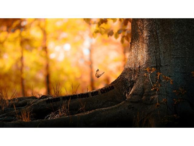 DECLARAÇÃO DE IMPOSTO DE RENDA 2026 LONDRINA AV DAS LARANJEIRAS