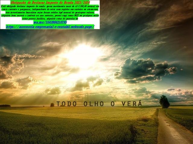 Canta Galo Consultoria Microempresa, Contador Imposto renda