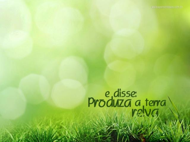 DECLARAÇÃO DE  IMPOSTO DE RENDA 2026 LONDRINA AV SAUL ELKIND