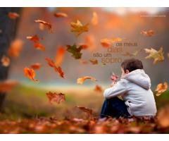 Campo de Abreu Consultoria Microempresa, Contador e Imposto renda