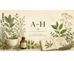 Benverde - Plantas medicinais