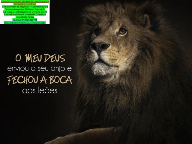 Consultoria  Micro e Pequena Empresa MEI