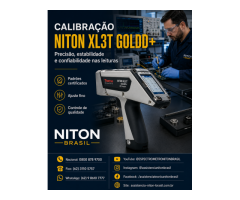 THERMO FISHER NITON BRASIL