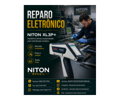 THERMO FISHER NITON BRASIL
