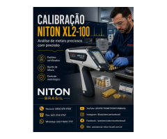 THERMO FISHER NITON BRASIL