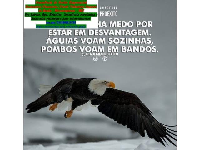 Agência de Marketing Digital - Serviços Digitais Arapongas