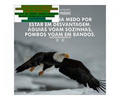 Agência de Marketing Digital - Serviços Digitais Arapongas