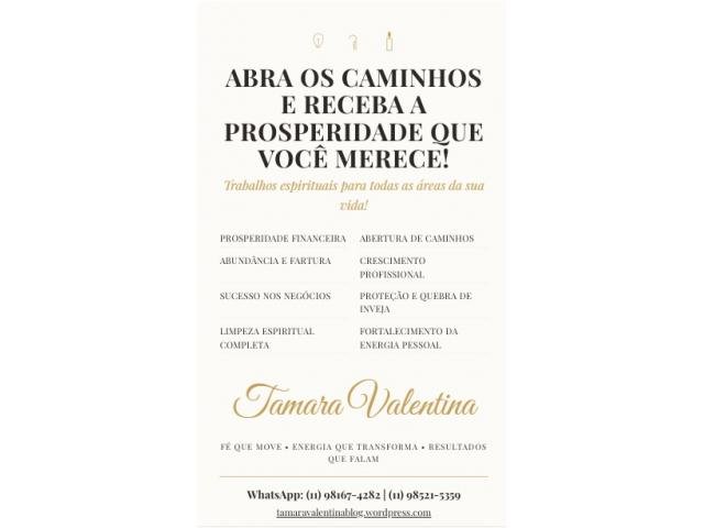 Seu Dinheiro Não Rende? Faço Trabalhos Espirituais para Prosperidade. - Tamara Valentina