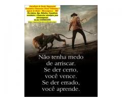 Escritório de Contabilidade SEQT rIO gRANDE DO sUL