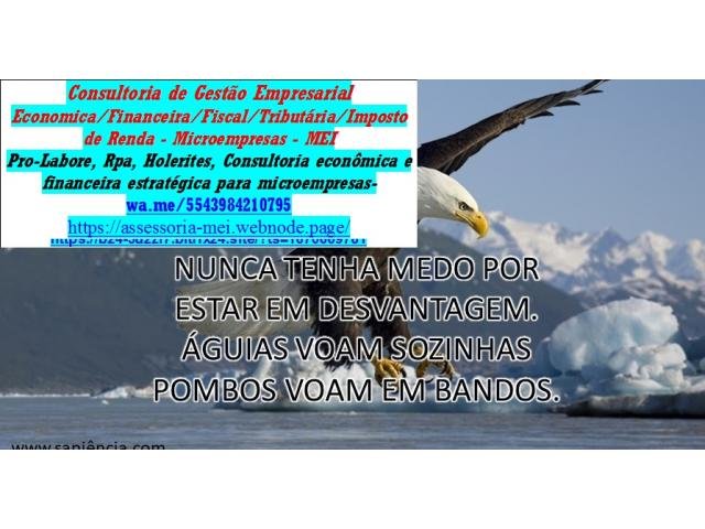 Saulo Turra Cianorte - Parana assessoria microempresas
