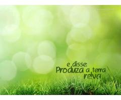 Sites para Pequenas Empresas Ibiporã