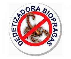 DEDETIZAÇÃO DE RATOS BIOPRAGAS (85)3467-5061/98753-0271