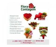 Floricultura em Contagem