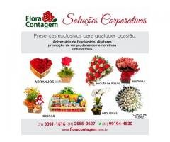 Flores Contagem