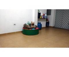 Piscininha de Bolinhas Circular 90 cm na cor verde com vermelho + 300 bolinhas