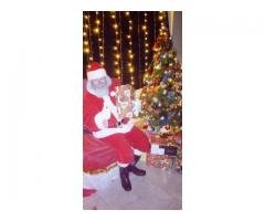 visita do  Papai Noel para festas de confraternização de Natal